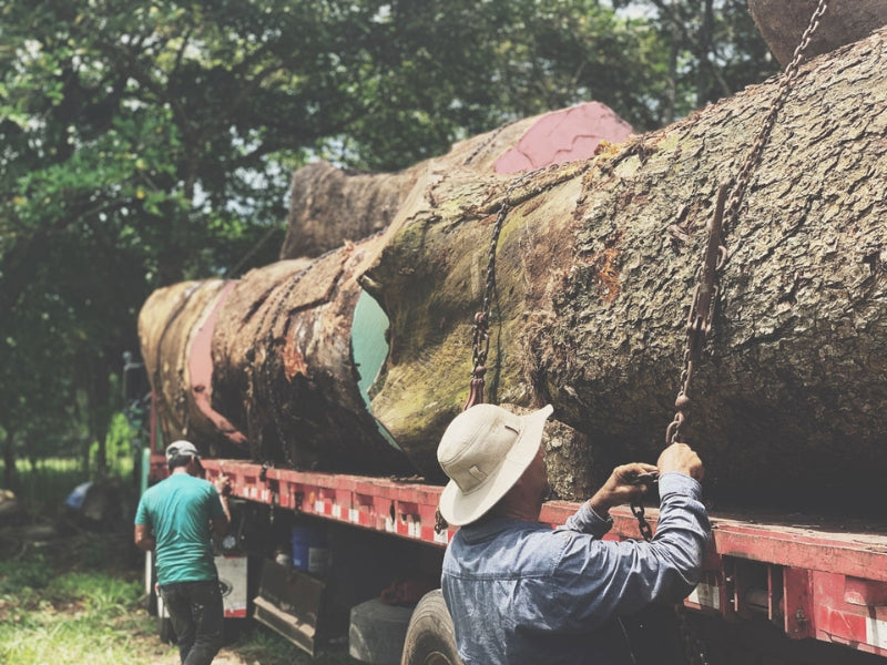 Select — Guanacaste